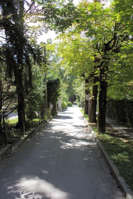 Apartment Villa Vltava 블레드 외부 사진